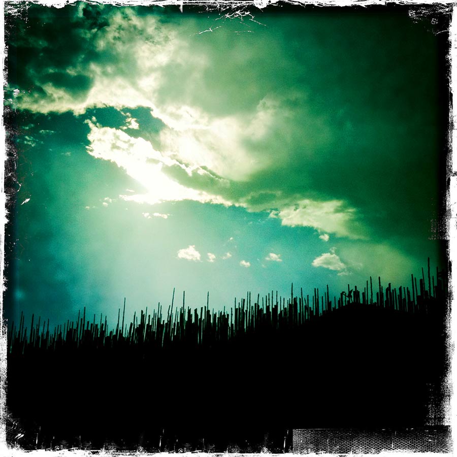 mira-blog0015